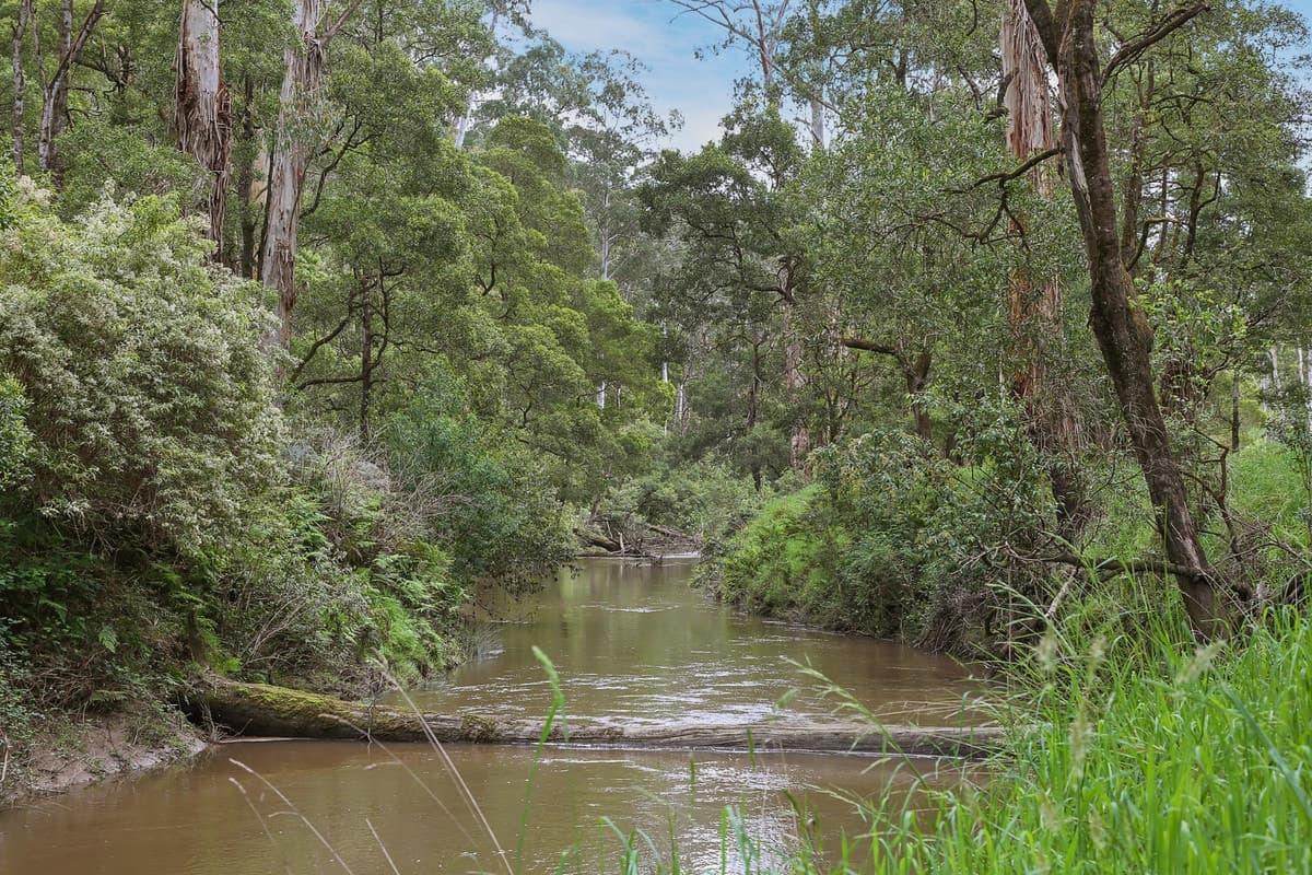 1699 Carlisle River Road, Carlisle River, VIC, Carlisle River - Image 1