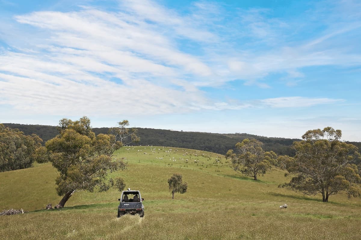 1699 Carlisle River Road, Carlisle River, VIC, Carlisle River - Thumbnail 3