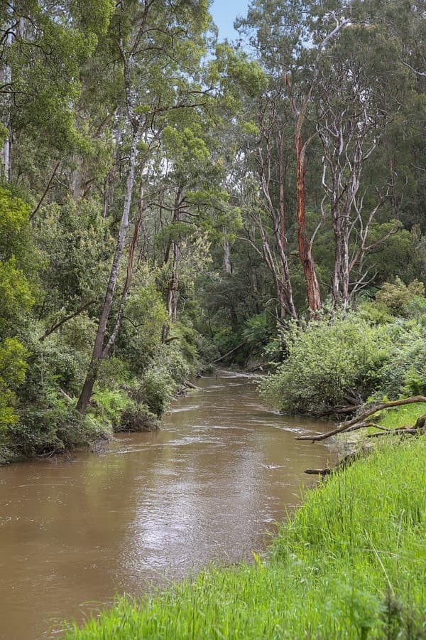 1699 Carlisle River Road, Carlisle River, VIC, Carlisle River - Thumbnail 4