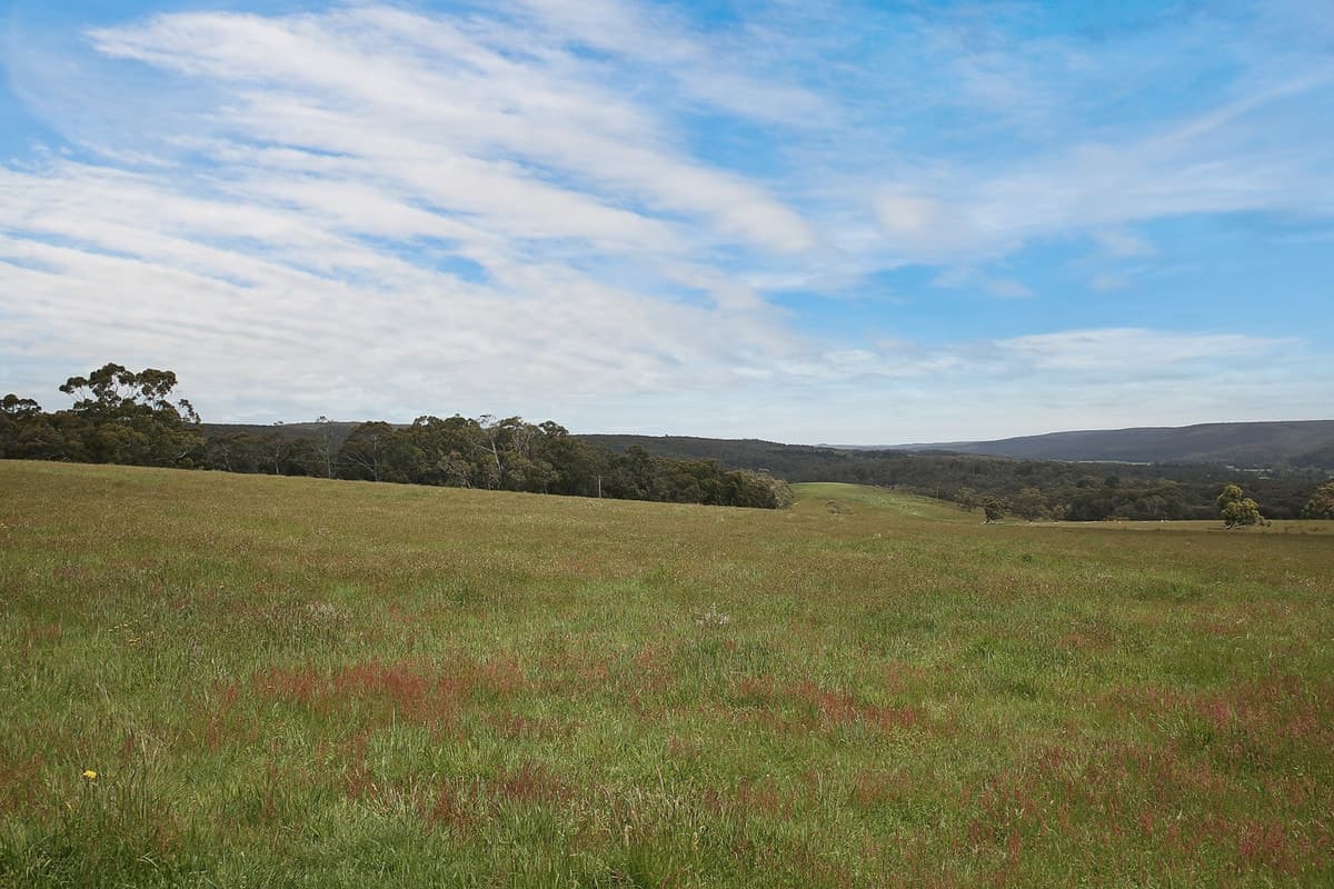 1699 Carlisle River Road, Carlisle River, VIC, Carlisle River - Thumbnail 7