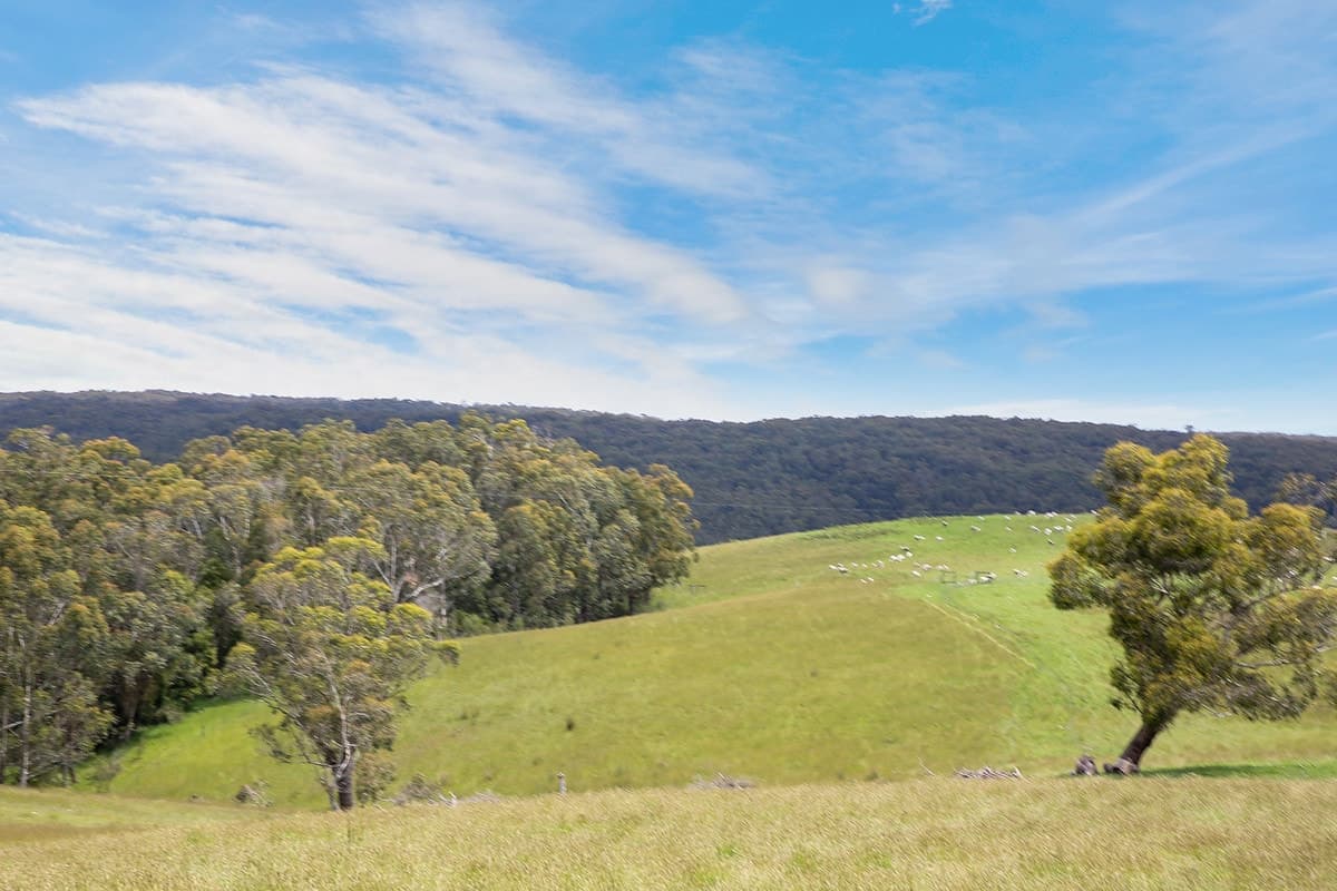 1699 Carlisle River Road, Carlisle River, VIC, Carlisle River - Thumbnail 8
