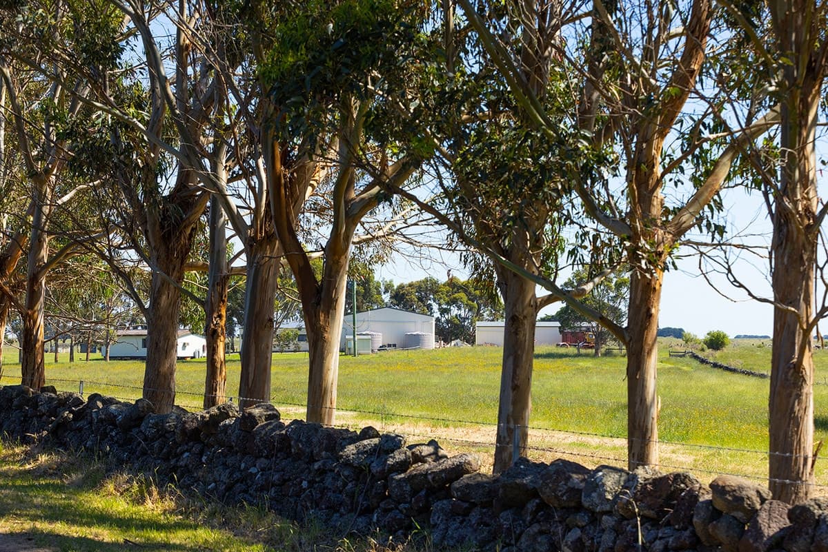 14 Flagstaff Road, Port Fairy, VIC, Port Fairy - Thumbnail 2
