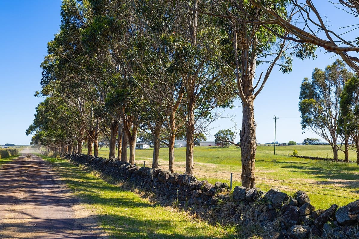 14 Flagstaff Road, Port Fairy, VIC, Port Fairy - Thumbnail 3