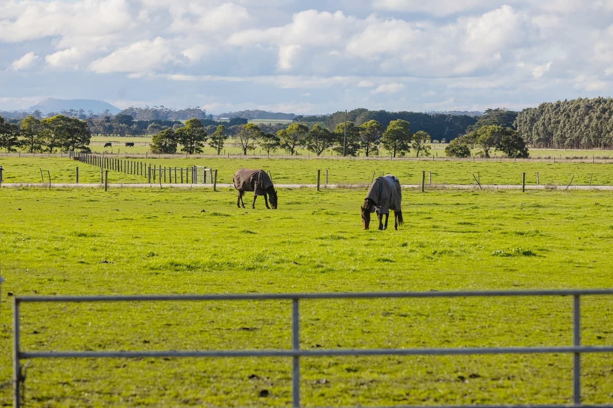 58 Cuthberts Road, Skibo, VIC, Skibo - Thumbnail 2