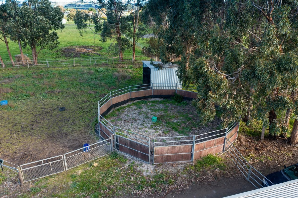58 Cuthberts Road, Skibo, VIC, Skibo - Thumbnail 7