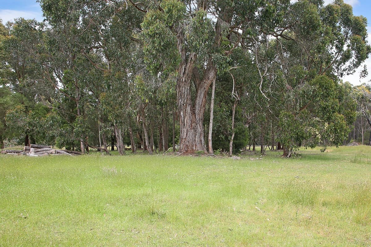 195 Robinsons Road, Barongarook, VIC, Barongarook - Thumbnail 2