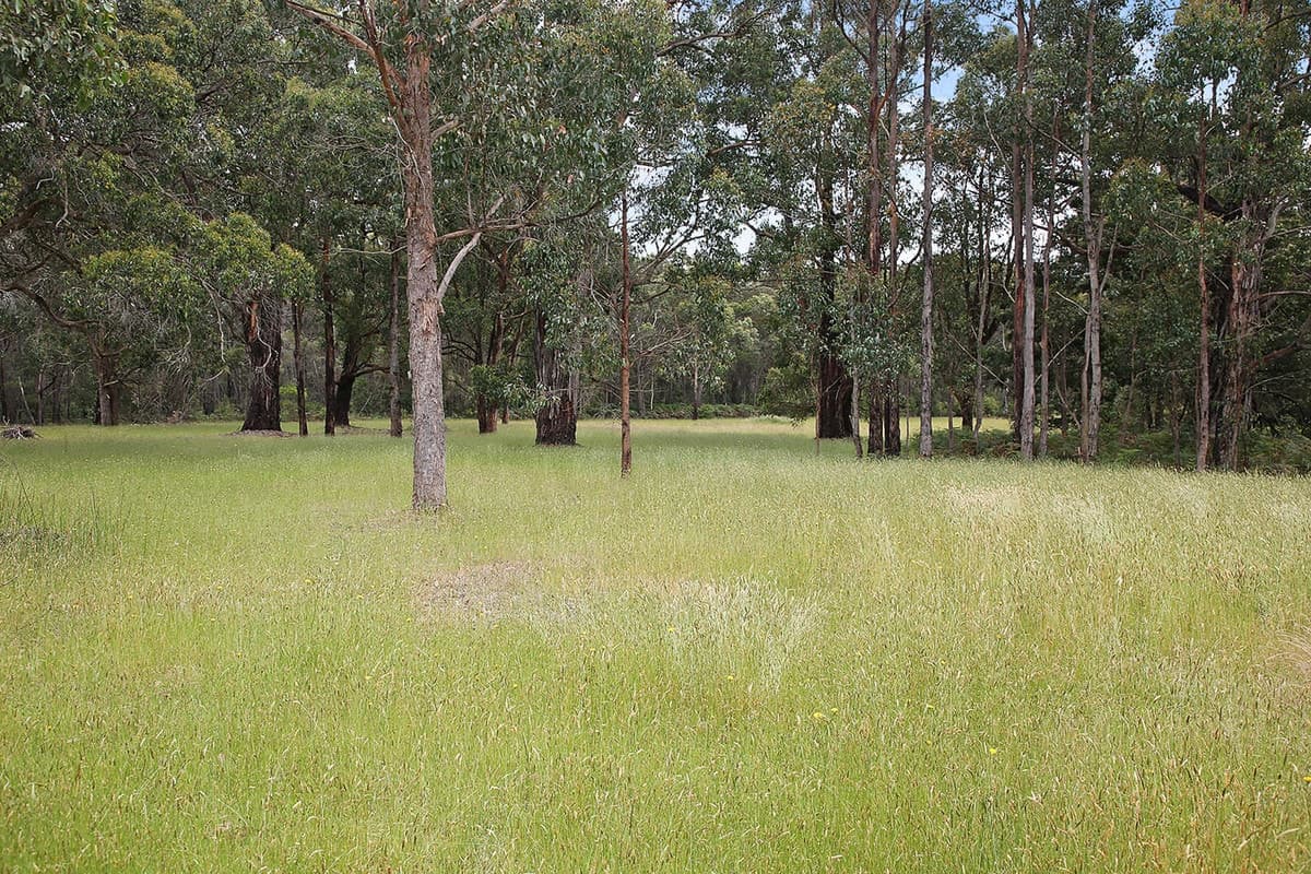 195 Robinsons Road, Barongarook, VIC, Barongarook - Thumbnail 4