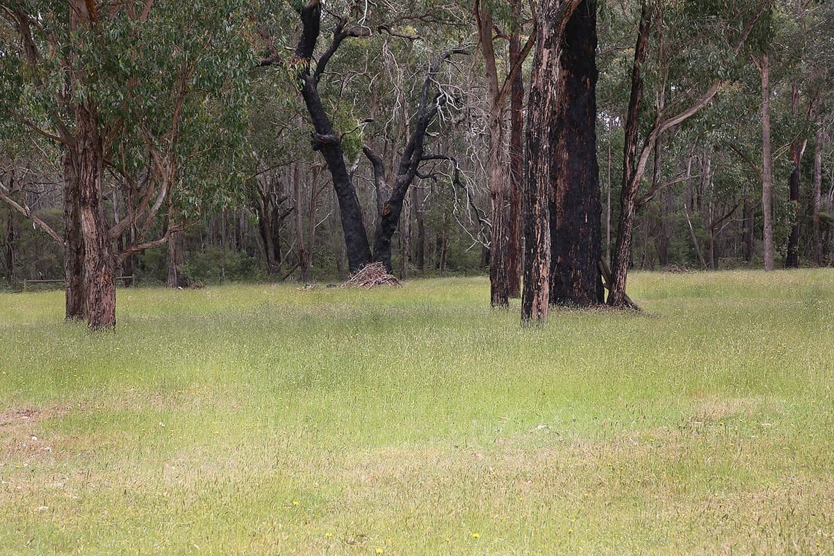 195 Robinsons Road, Barongarook, VIC, Barongarook - Thumbnail 5