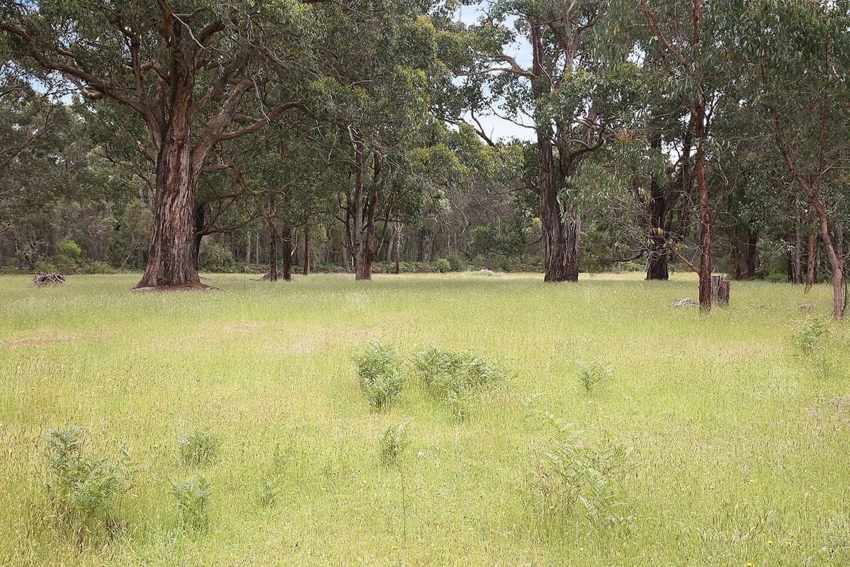 195 Robinsons Road, Barongarook, VIC, Barongarook - Thumbnail 6