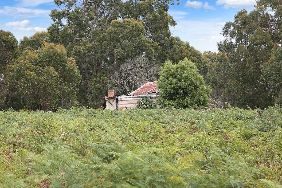 195 Robinsons Road, Barongarook, VIC, Barongarook - Thumbnail 8