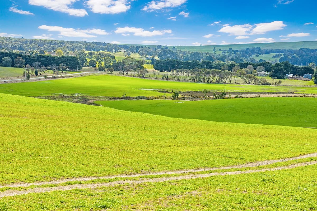 Buninyong-Mt Mercer Road, Grenville, VIC, Grenville - Thumbnail 3