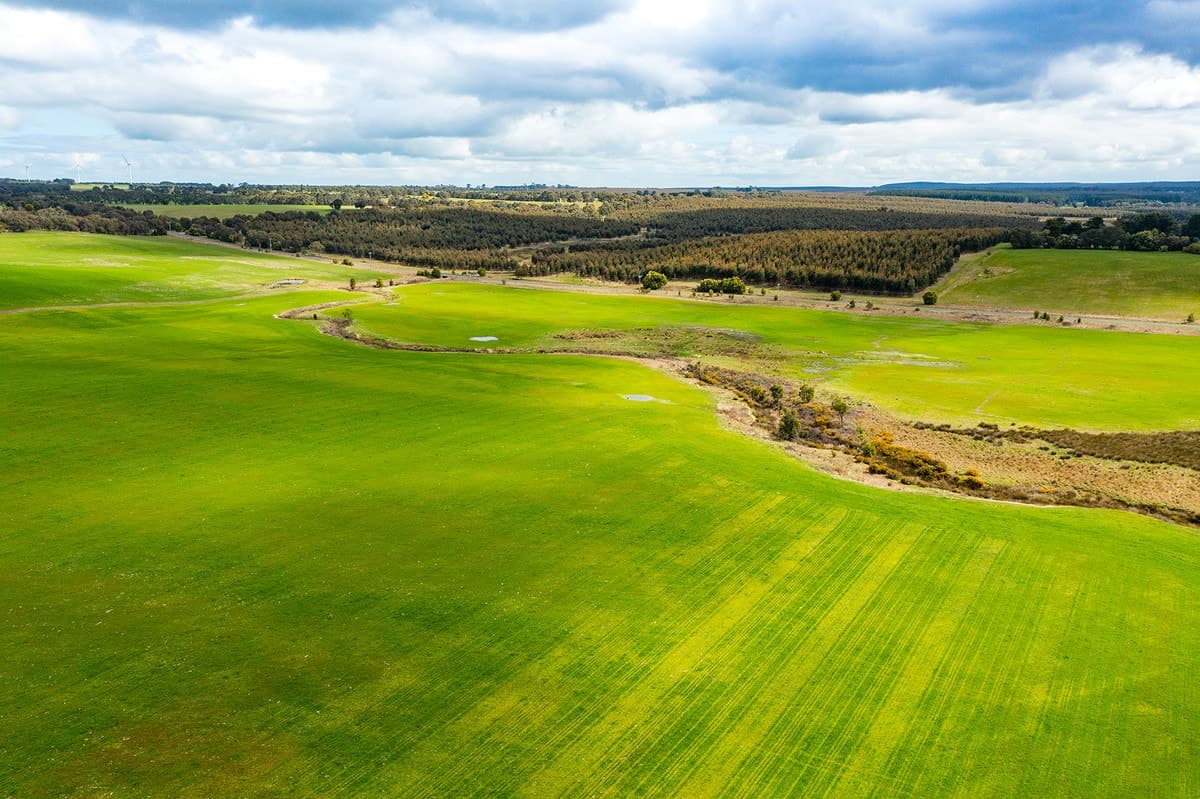 Buninyong-Mt Mercer Road, Grenville, VIC, Grenville - Thumbnail 6