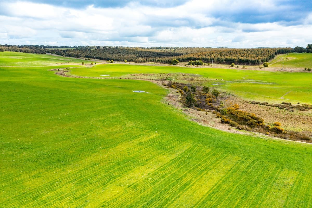 Buninyong-Mt Mercer Road, Grenville, VIC, Grenville - Thumbnail 7