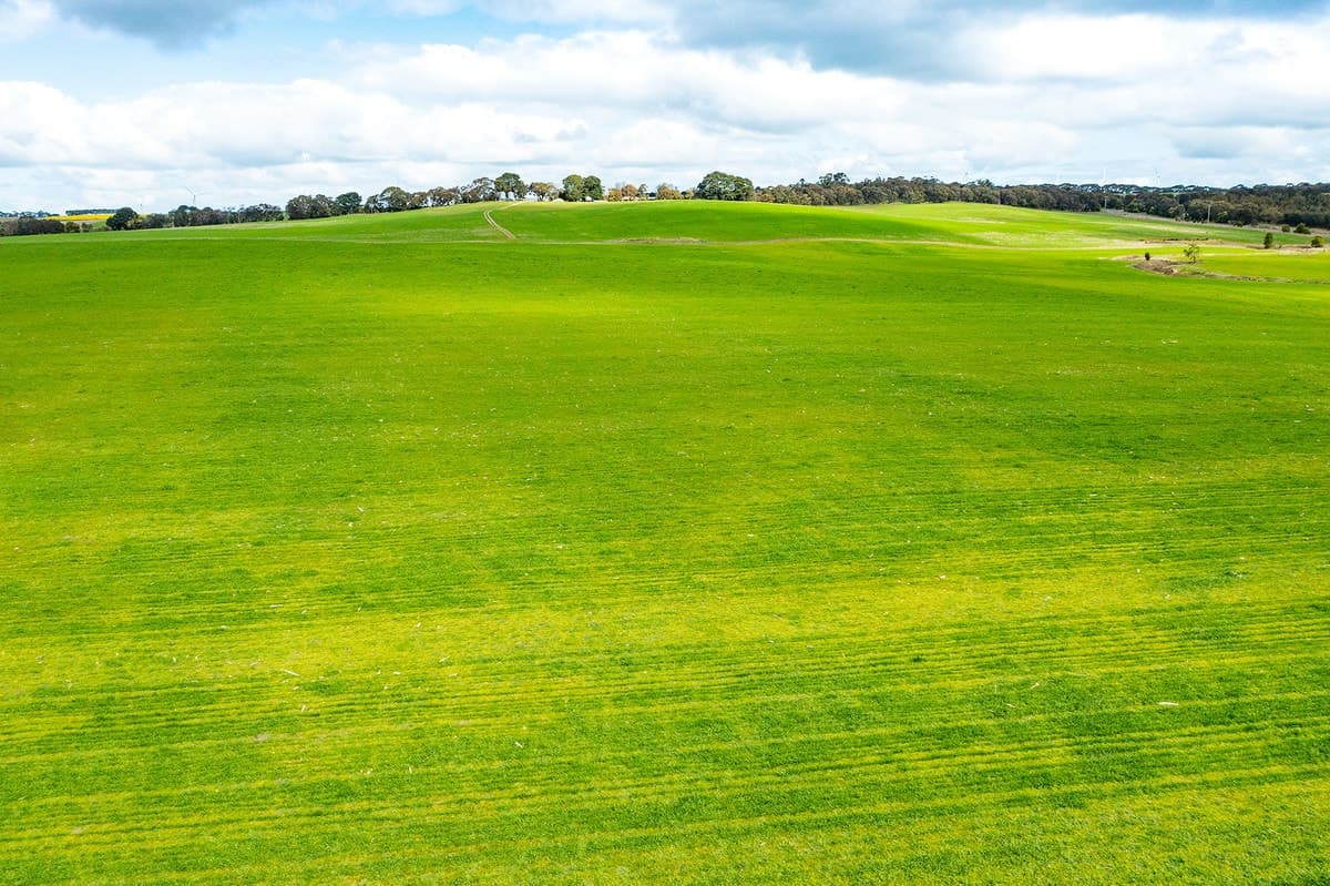 Buninyong-Mt Mercer Road, Grenville, VIC, Grenville - Thumbnail 8