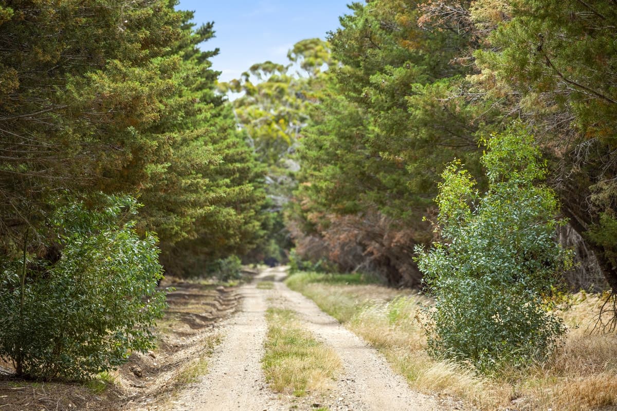 683 Bacchus Marsh - Balliang Road, Staughton Vale, VIC, Staughton Vale - Image 1