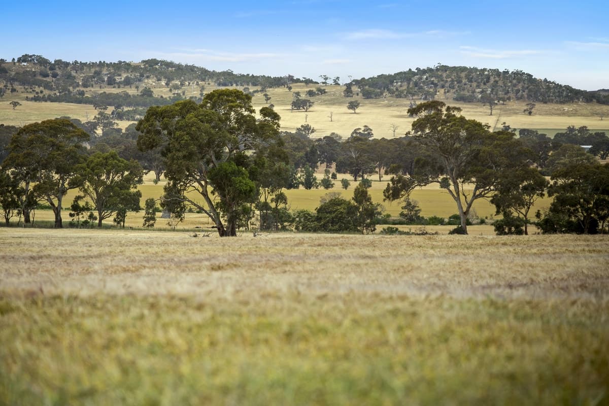 683 Bacchus Marsh - Balliang Road, Staughton Vale, VIC, Staughton Vale - Thumbnail 4