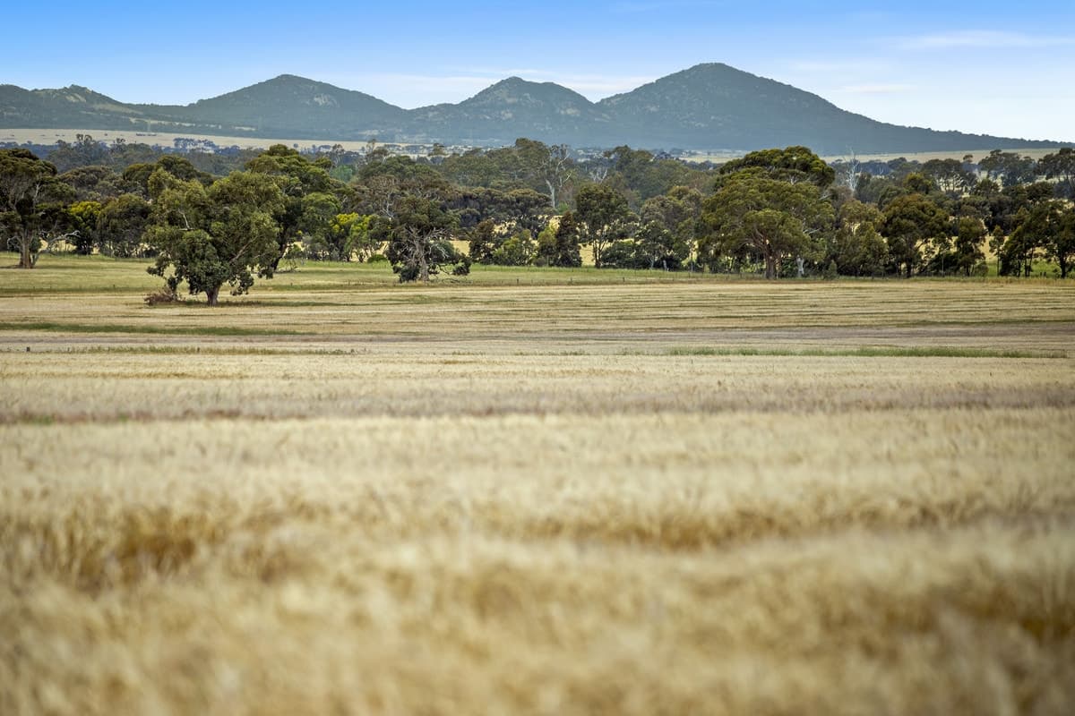 683 Bacchus Marsh - Balliang Road, Staughton Vale, VIC, Staughton Vale - Thumbnail 7