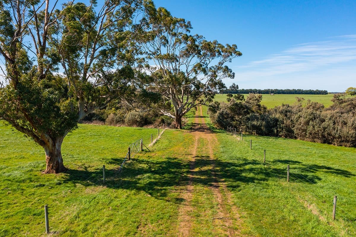 1471 Timboon-Nullawarrre Road, Nullawarre, VIC, Nullawarre - Thumbnail 3