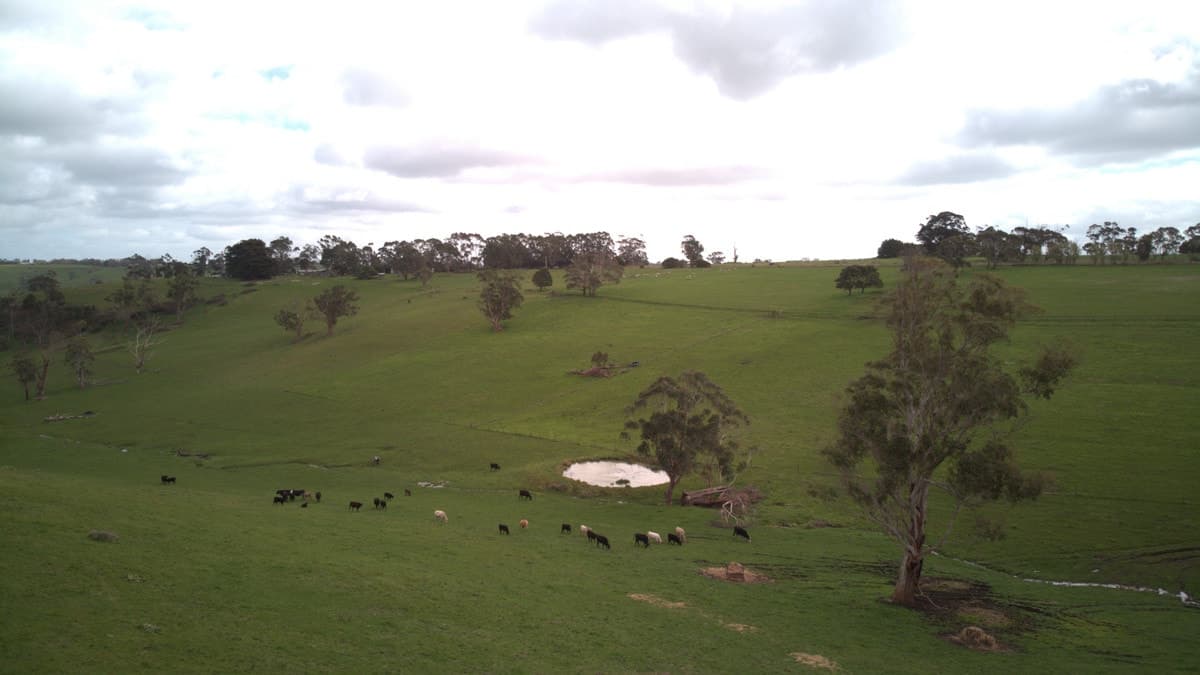 Beatons Road, Jancourt, VIC, Jancourt - Image 1