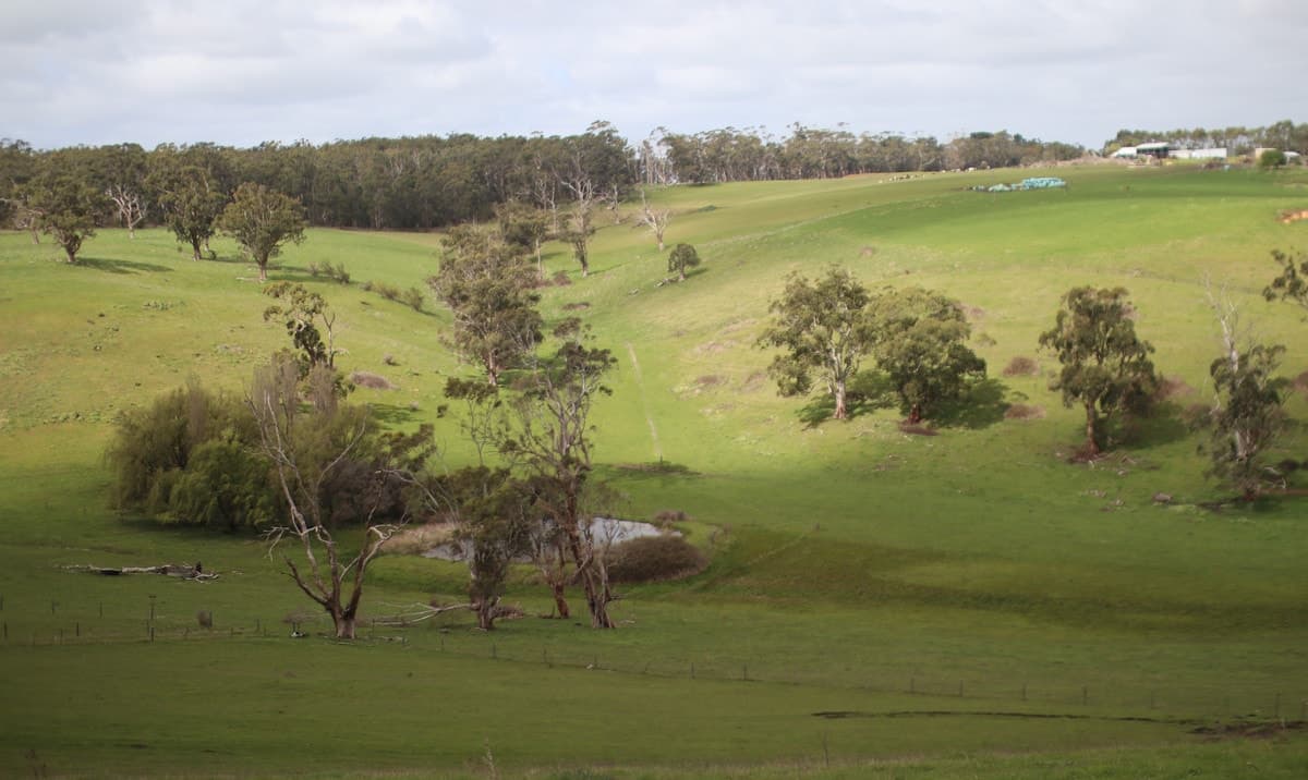 Beatons Road, Jancourt, VIC, Jancourt - Thumbnail 2