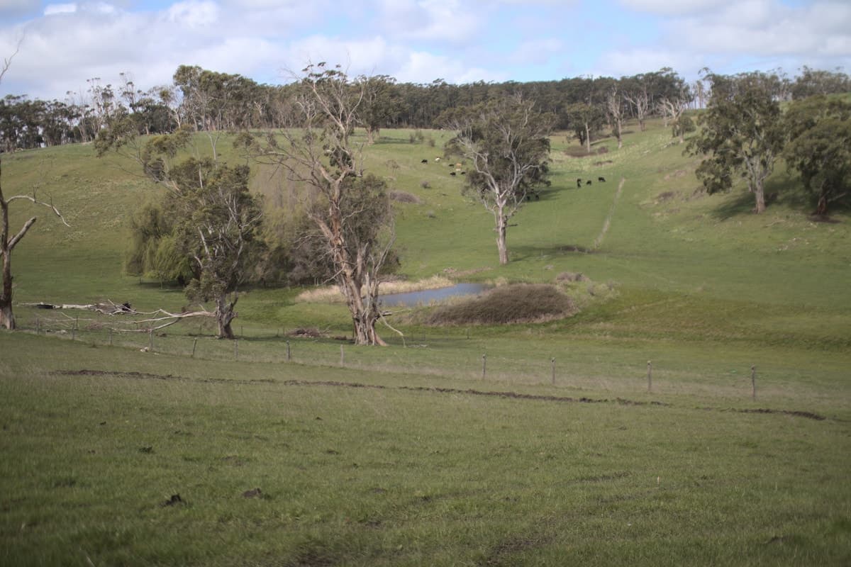 Beatons Road, Jancourt, VIC, Jancourt - Thumbnail 3