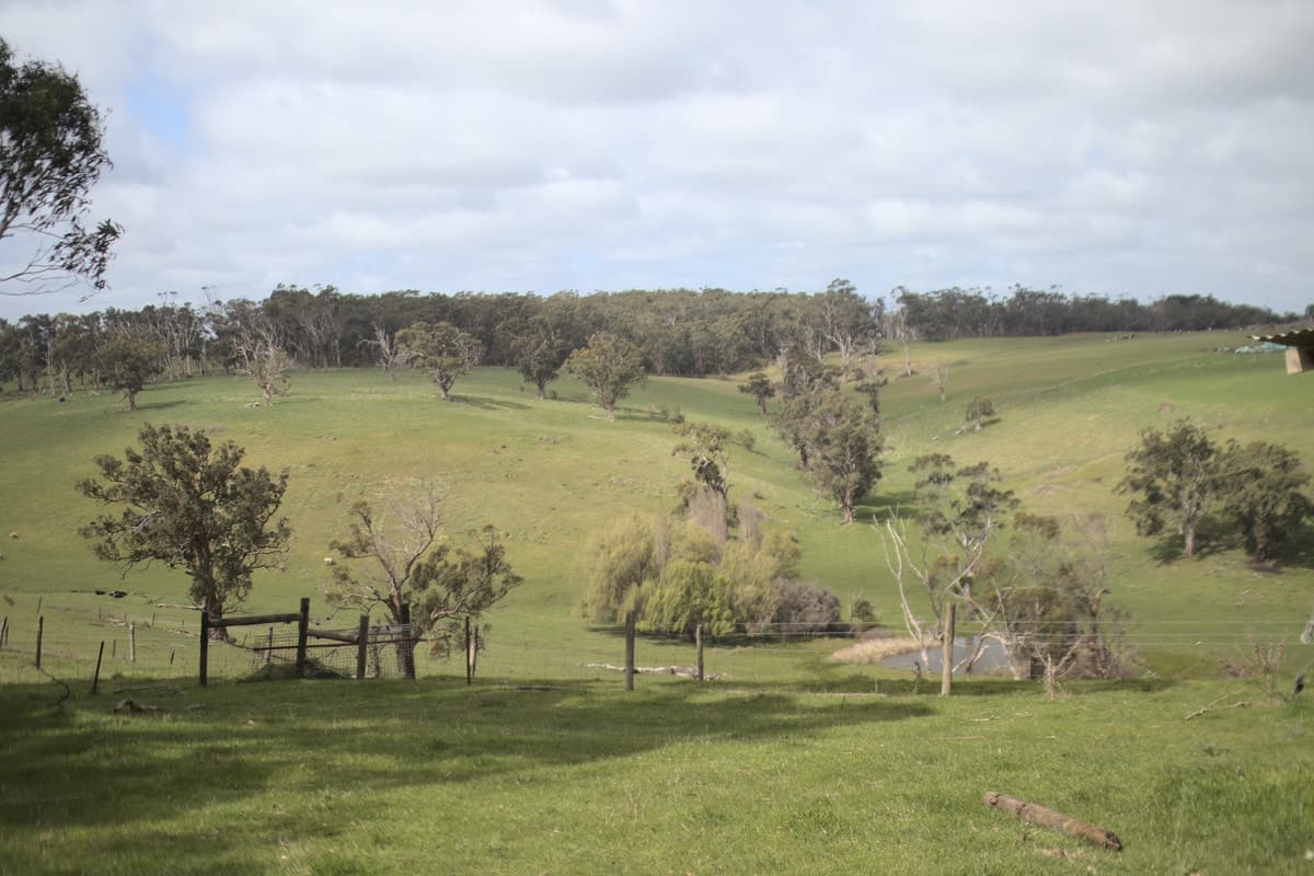 Beatons Road, Jancourt, VIC, Jancourt - Thumbnail 4