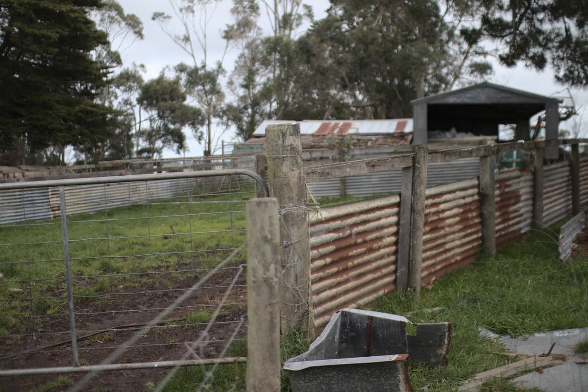 Beatons Road, Jancourt, VIC, Jancourt - Thumbnail 5