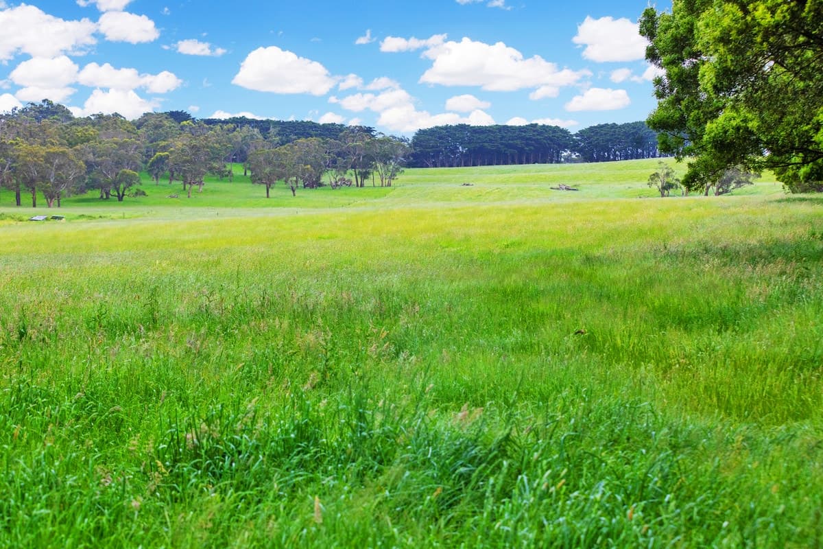 1 & 3 Bornong Road, Cooriemungle, VIC, Cooriemungle - Thumbnail 7