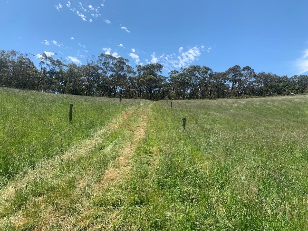 1 Guys Road, Cooriemungle, VIC, Cooriemungle - Thumbnail 3