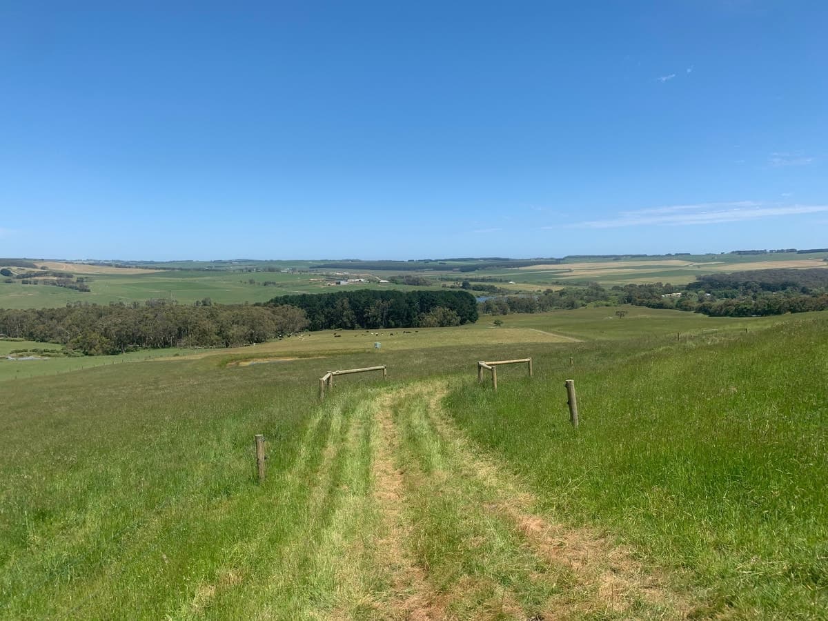 1 Guys Road, Cooriemungle, VIC, Cooriemungle - Thumbnail 4