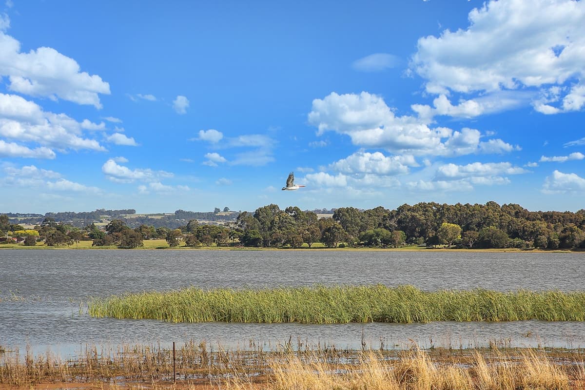 75 Boylans Road, Colac West, VIC, Colac West - Thumbnail 2