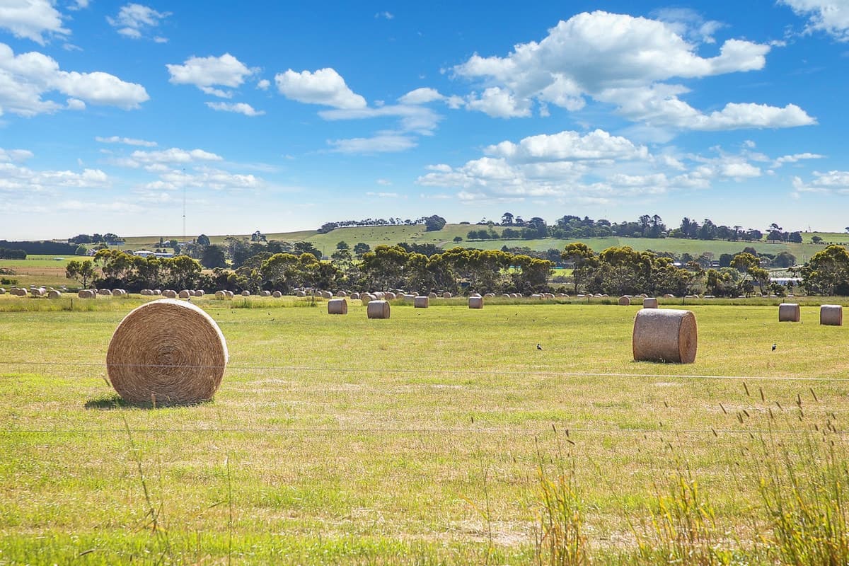 75 Boylans Road, Colac West, VIC, Colac West - Thumbnail 4
