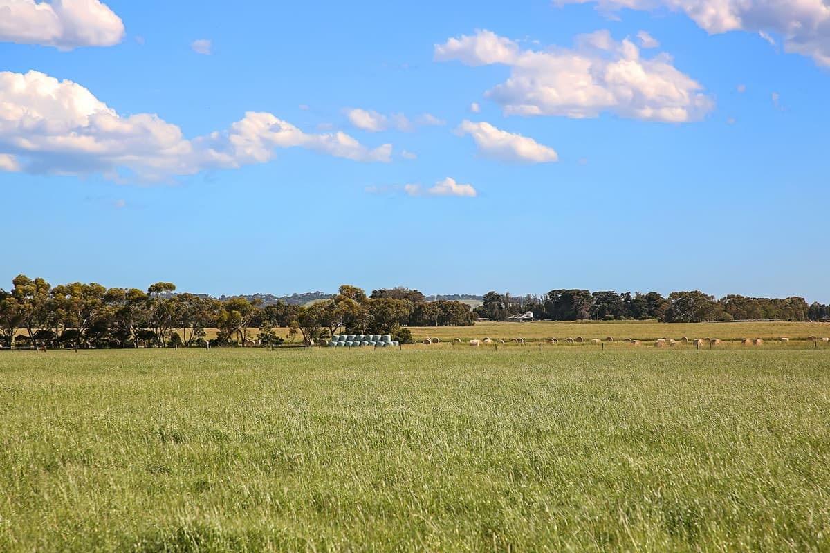 75 Boylans Road, Colac West, VIC, Colac West - Thumbnail 7