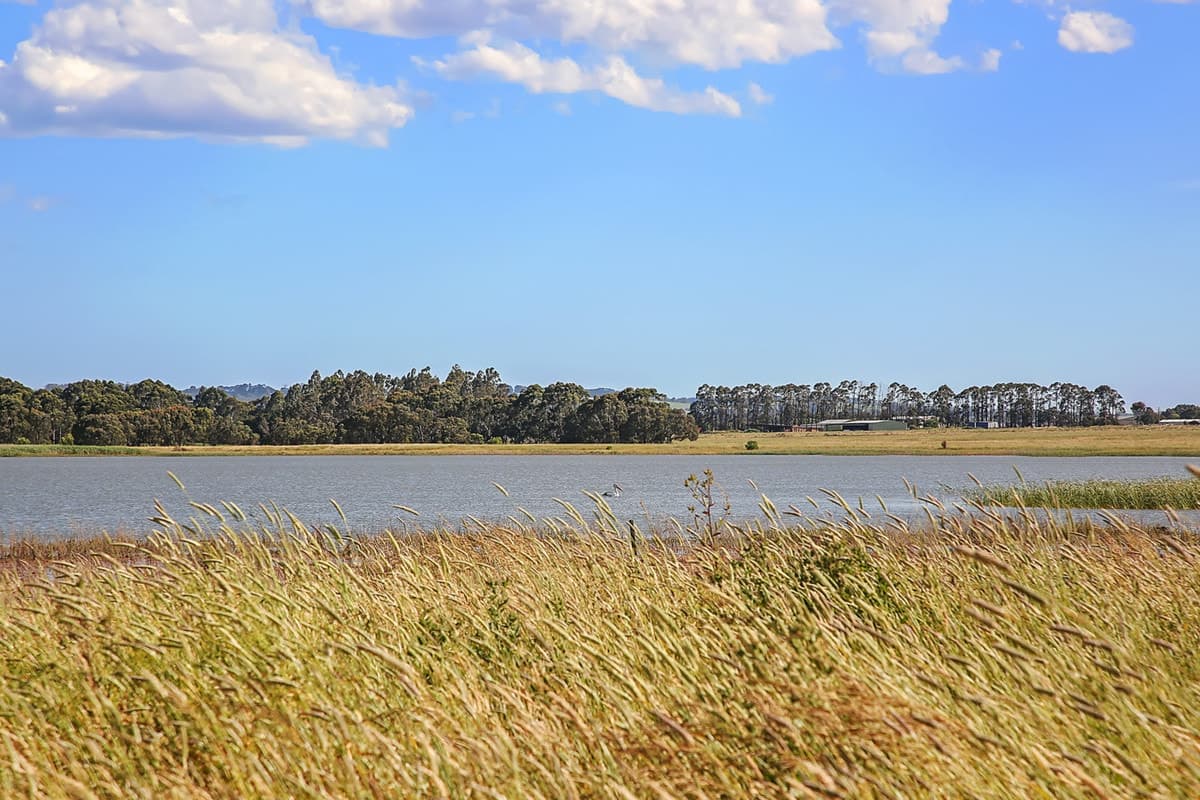 75 Boylans Road, Colac West, VIC, Colac West - Thumbnail 8