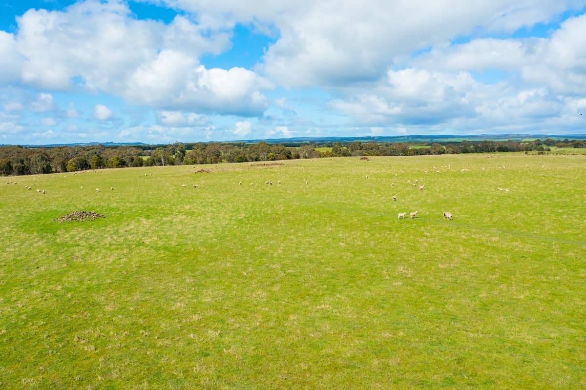 255 Ingleby Road, Winchelsea, VIC, Winchelsea - Thumbnail 2