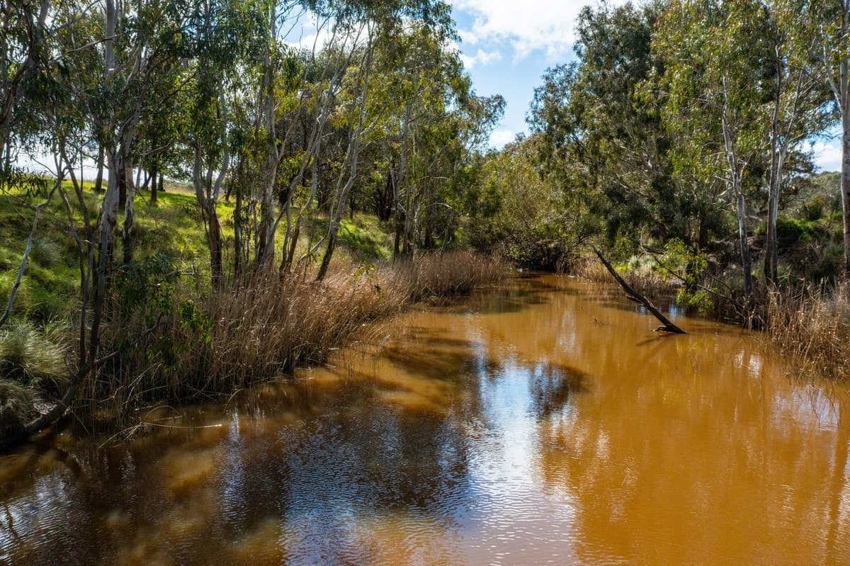 255 Ingleby Road, Winchelsea, VIC, Winchelsea - Thumbnail 7