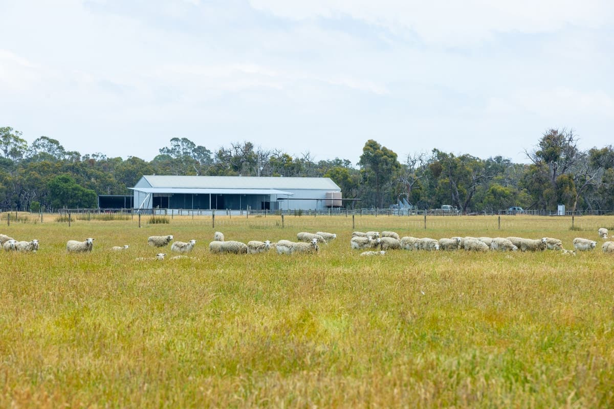 "Hinkleys" Powers Creek-Edenhope Road, Powers Creek, VIC, Powers Creek - Image 1