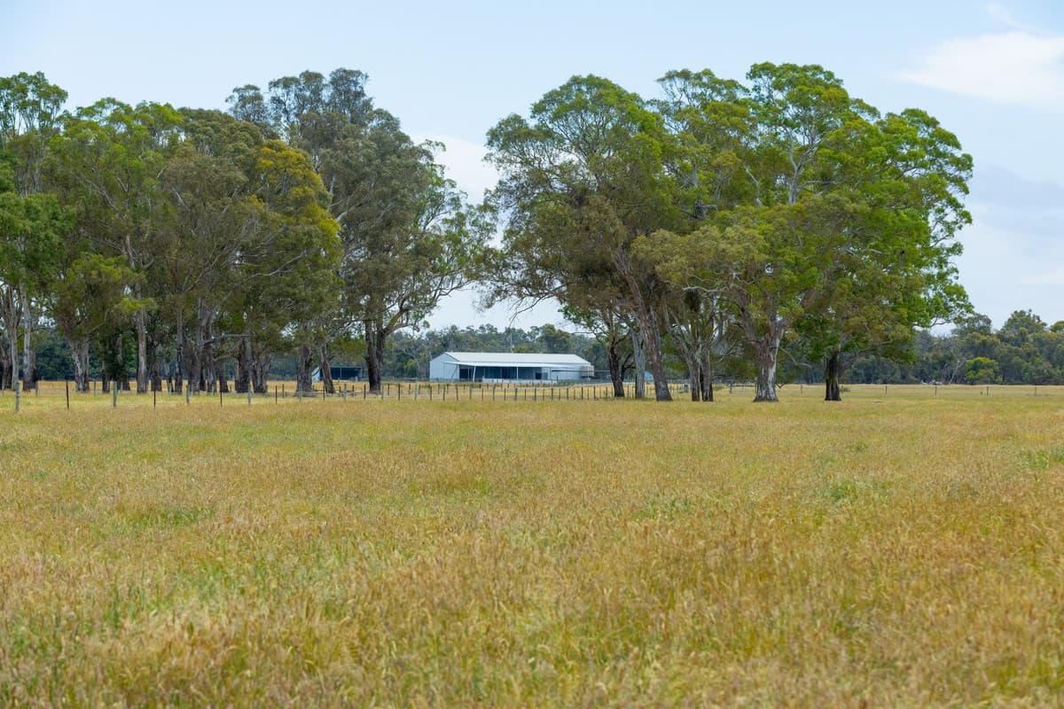 "Hinkleys" Powers Creek-Edenhope Road, Powers Creek, VIC, Powers Creek - Thumbnail 3