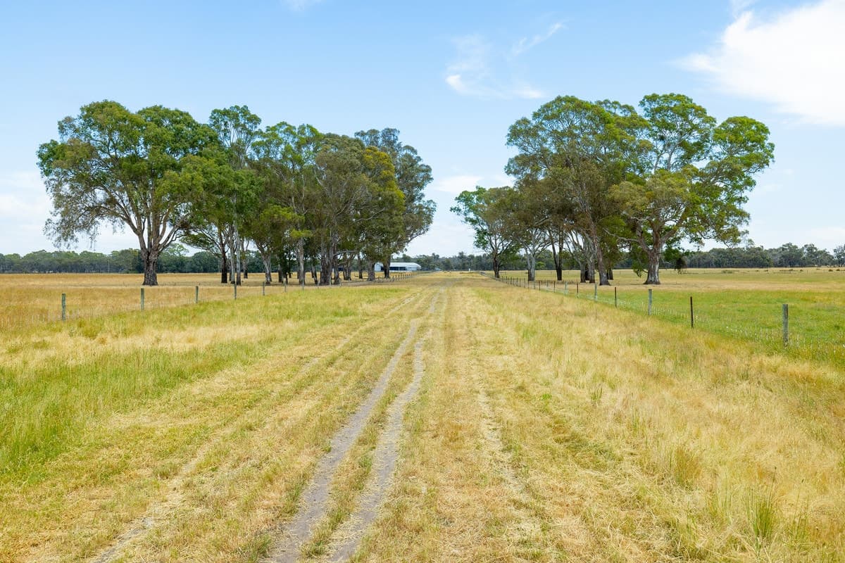 "Hinkleys" Powers Creek-Edenhope Road, Powers Creek, VIC, Powers Creek - Thumbnail 4