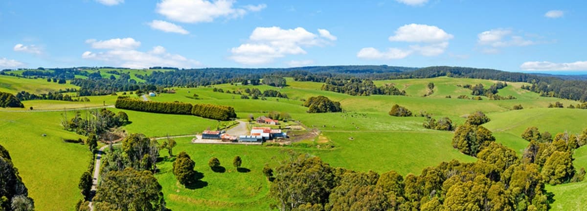 245 Phillips Track, Beech Forest, VIC, Beech Forest - Image 1