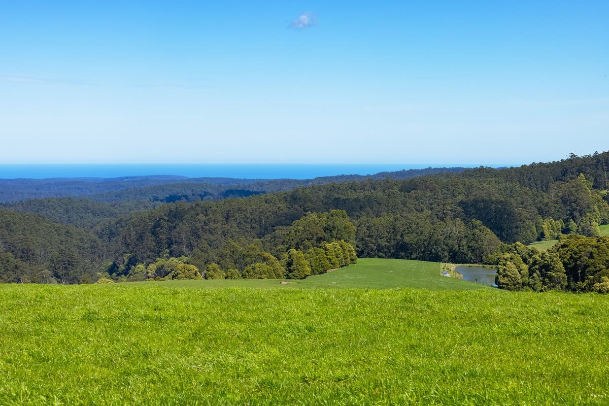 245 Phillips Track, Beech Forest, VIC, Beech Forest - Thumbnail 3