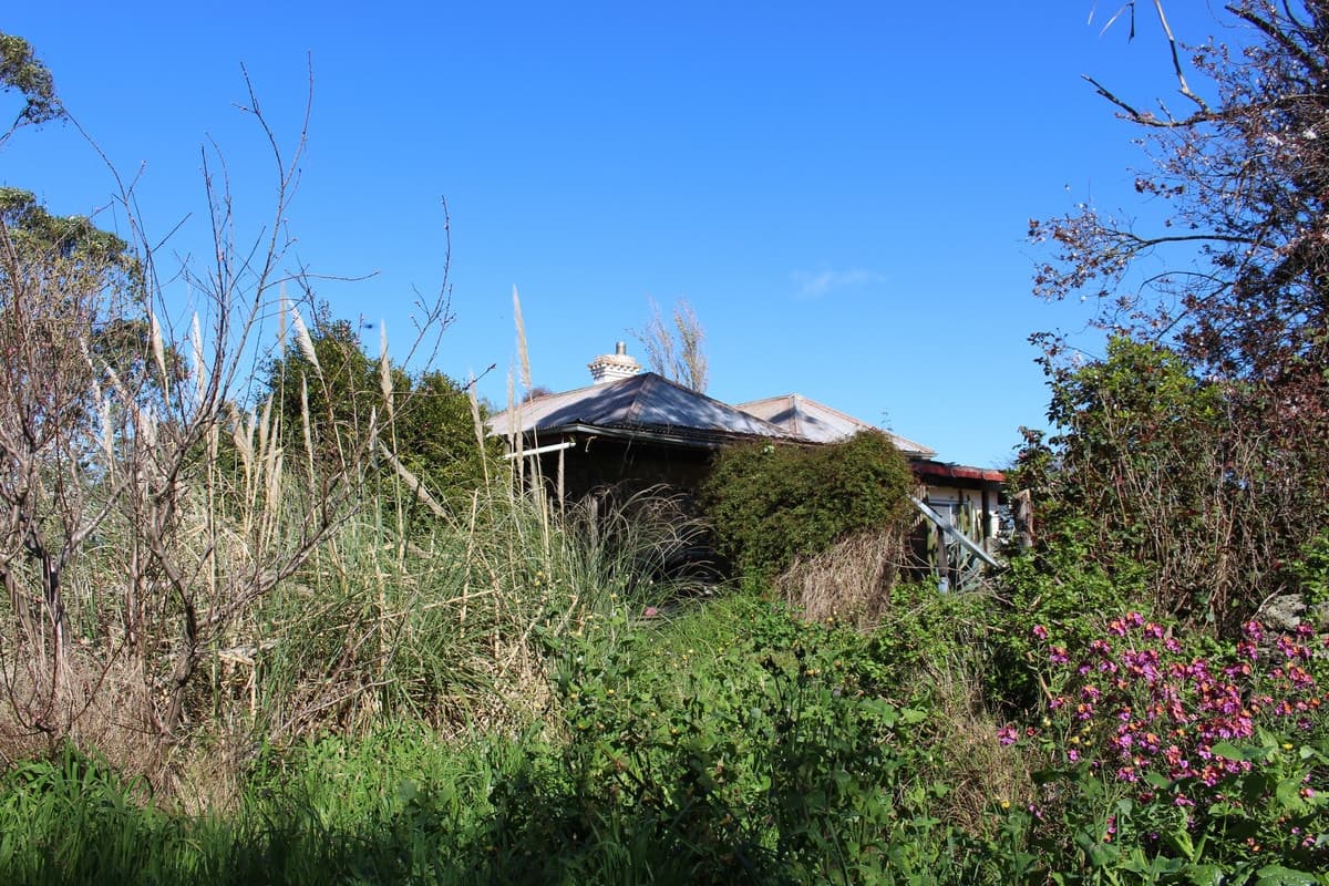 925 Corangamite Lake Road, Coragulac, VIC, Coragulac - Thumbnail 4