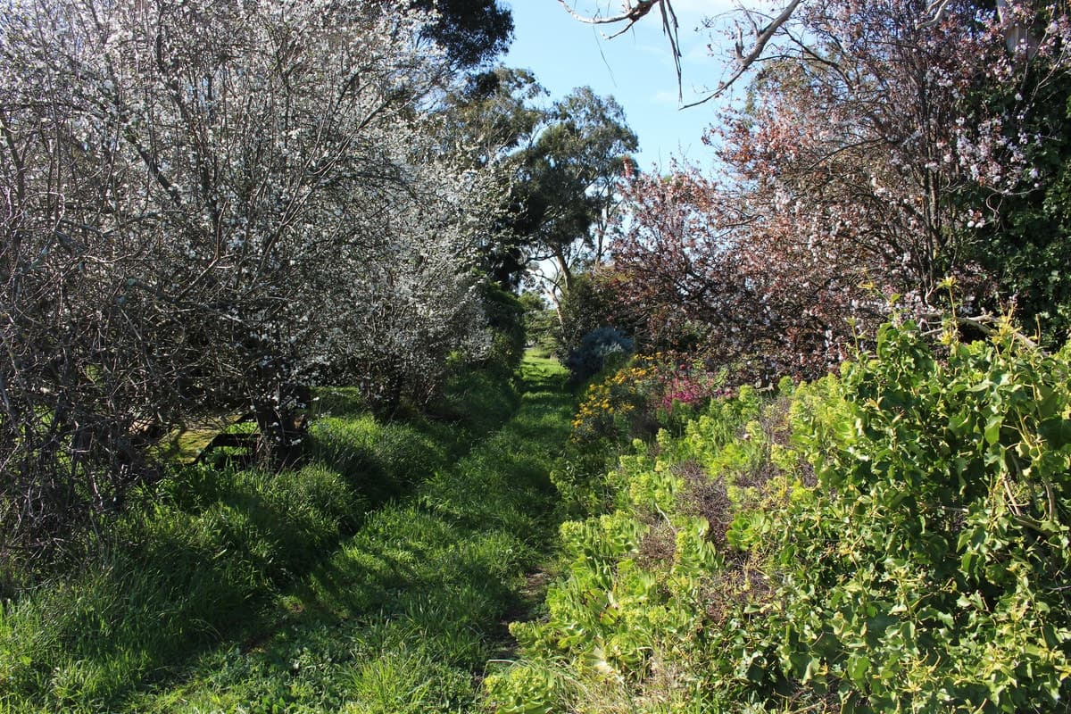925 Corangamite Lake Road, Coragulac, VIC, Coragulac - Thumbnail 7
