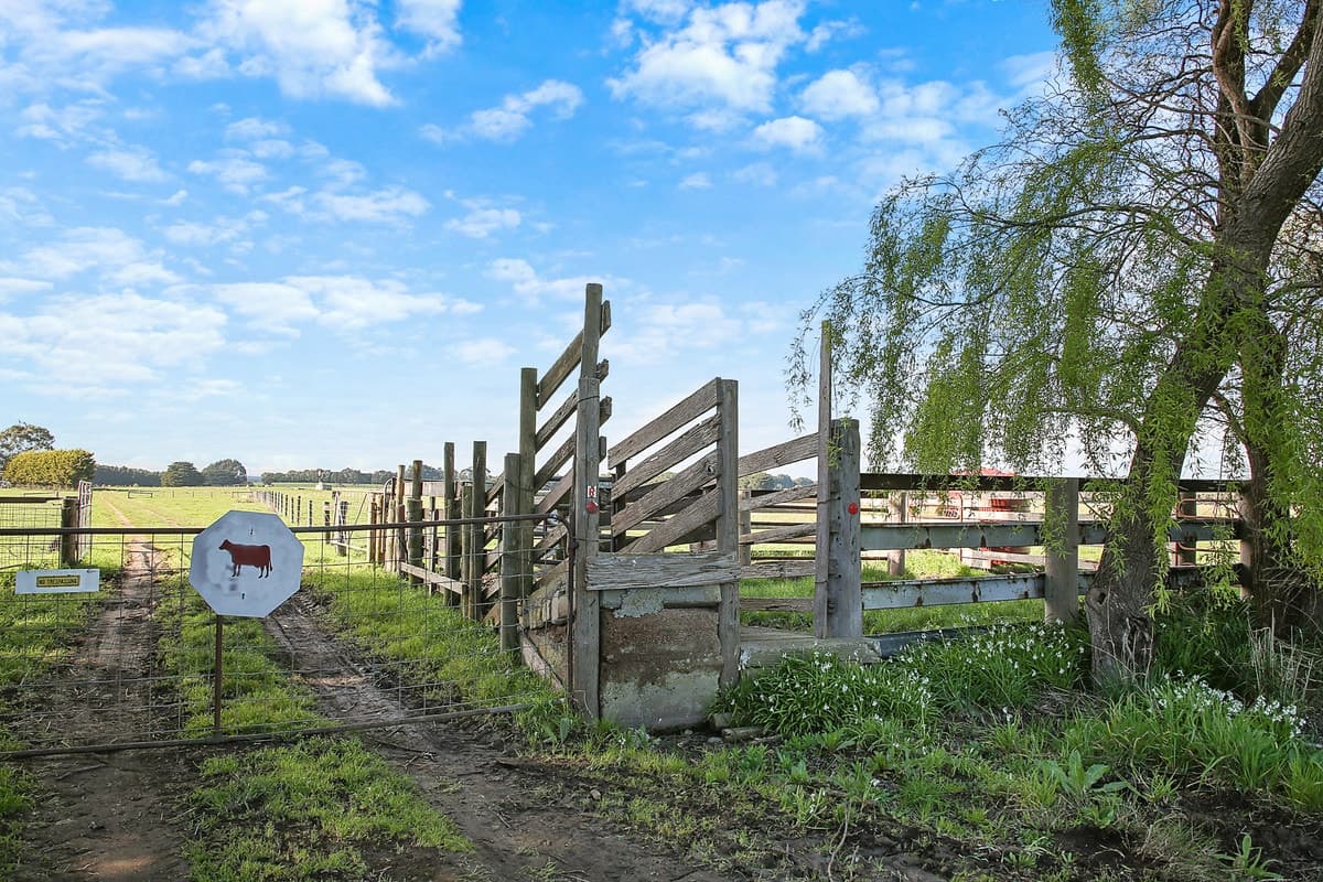 Camperdown Cobden Road, Cobden, VIC, Cobden - Thumbnail 2