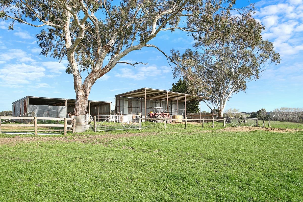Camperdown Cobden Road, Cobden, VIC, Cobden - Thumbnail 4