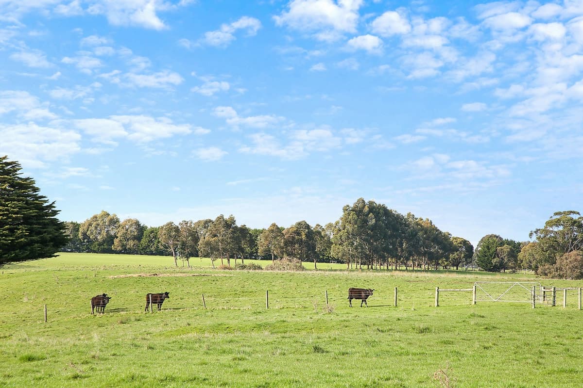 Camperdown Cobden Road, Cobden, VIC, Cobden - Thumbnail 7
