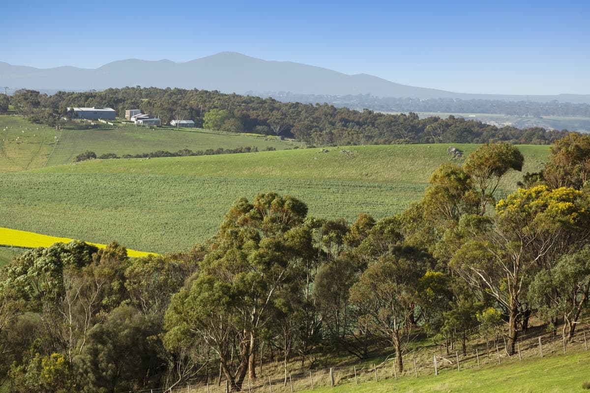 1010 Barrabool Road, Barrabool, VIC, Barrabool - Thumbnail 2