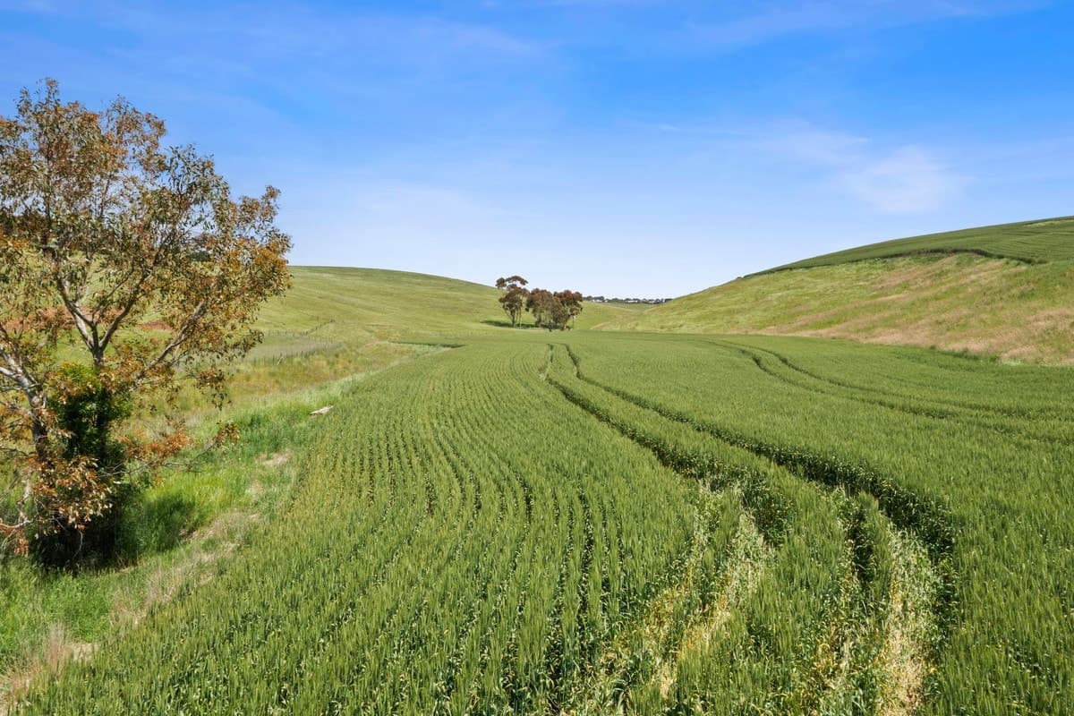 1010 Barrabool Road, Barrabool, VIC, Barrabool - Thumbnail 3