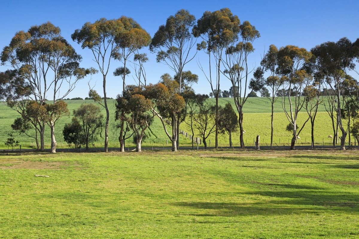 1010 Barrabool Road, Barrabool, VIC, Barrabool - Thumbnail 7
