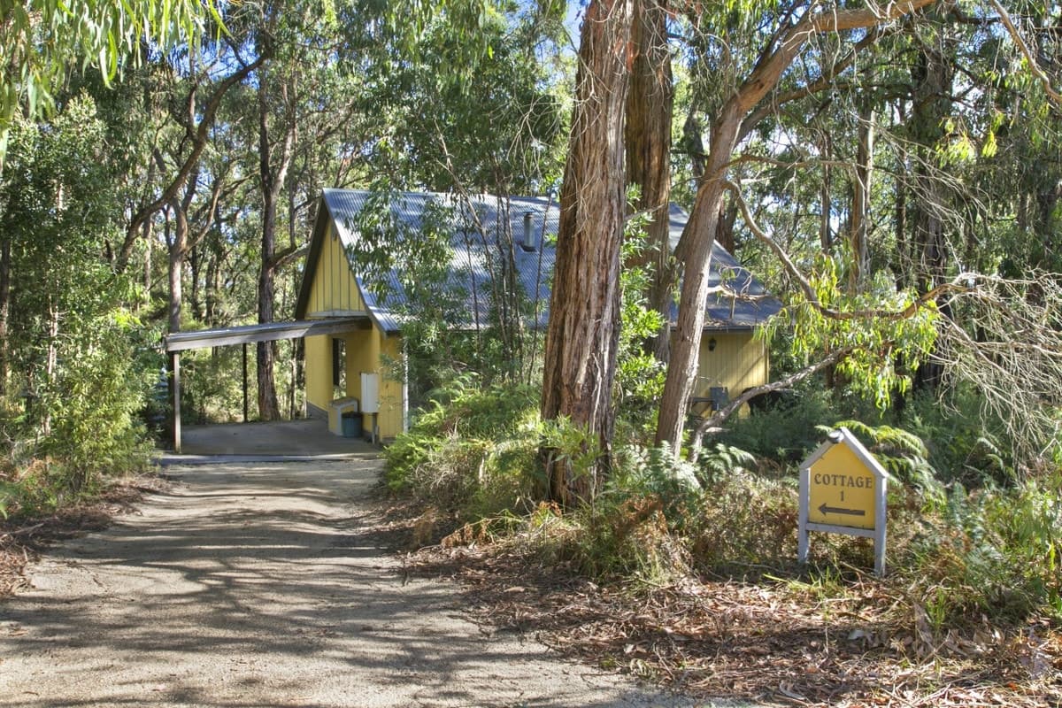 20 Hoveys Road, Barongarook, VIC, Barongarook - Thumbnail 4